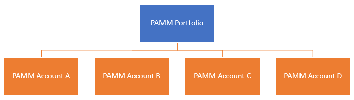 PAMM Portfolio example