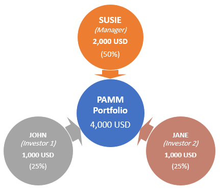 Alpari PAMM investment example 1