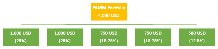 Alpari PAMM investment example 2