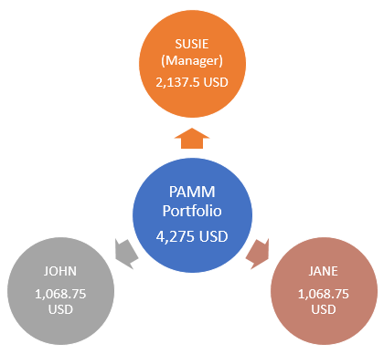 Alpari PAMM Portfolio Balance